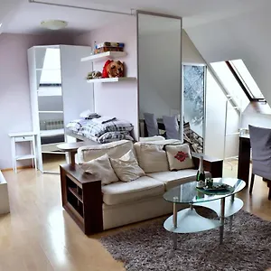 Poddasze Dla Aktywnych Apartament